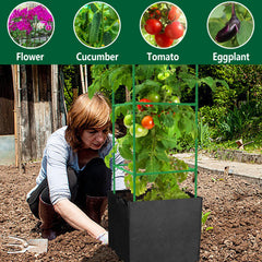 DECOHS cage supporting tomato plant for easier harvesting