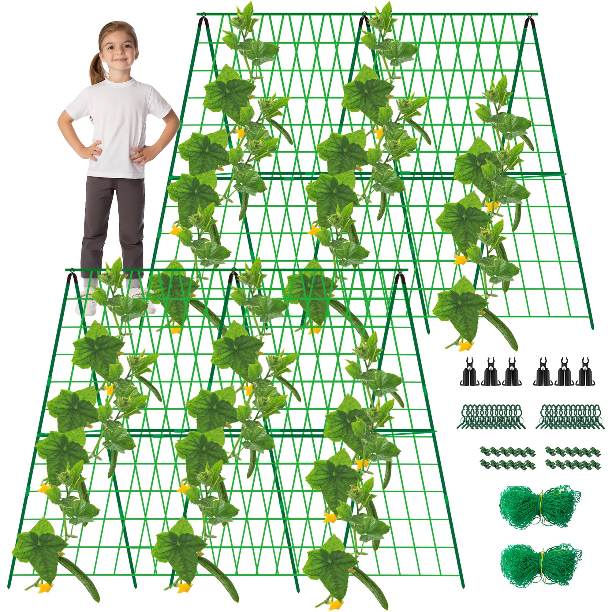 DECOHS front view of assembled A-frame trellis showing neat vertical support and easy harvest