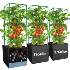DECOHS front view of three assembled cages showing compact storage benefit