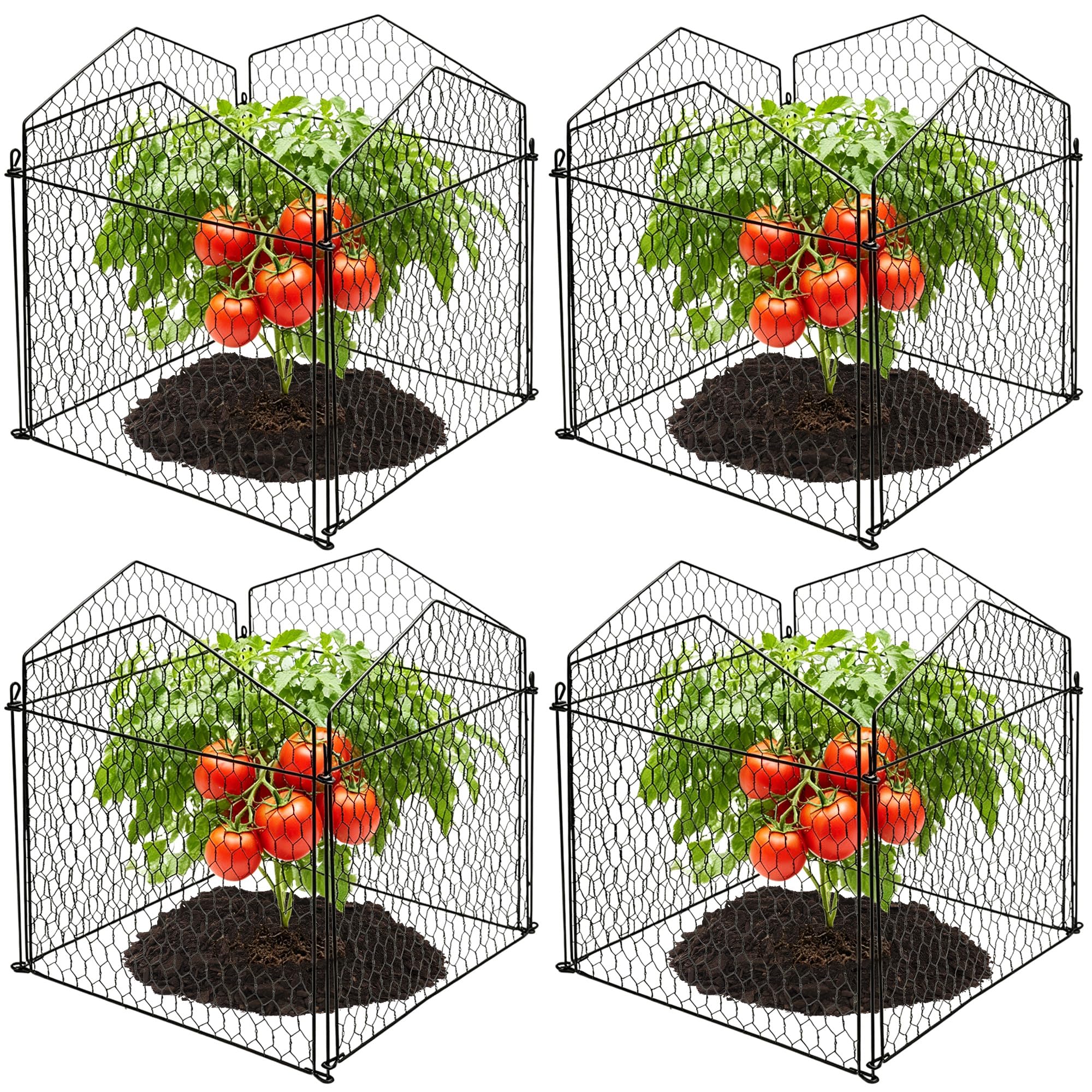 DECOHS front view of assembled cloche protecting seedling, neat garden protection