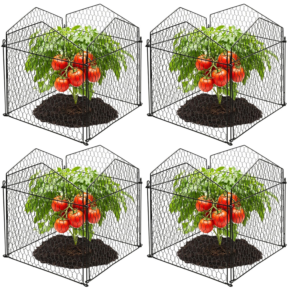 DECOHS front view of assembled cloche protecting seedling, neat garden protection