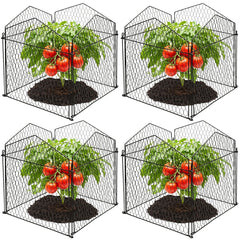 DECOHS front view of assembled cloche protecting seedling, neat garden protection