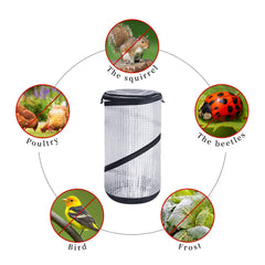 DECOHS in-use on patio container protecting vegetable plants from frost