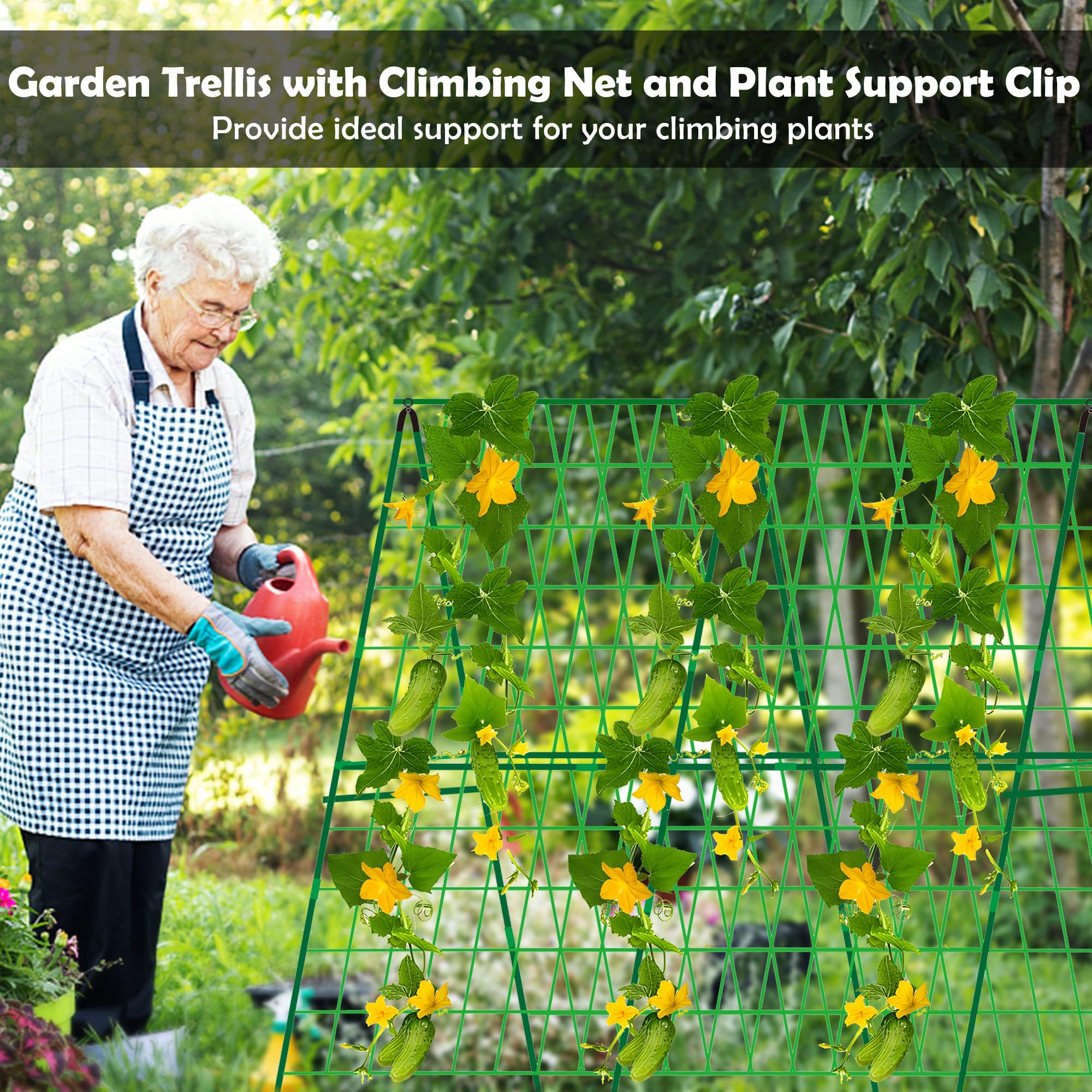 DECOHS lifestyle image harvesting cucumbers with trellis for easier picking and less bending