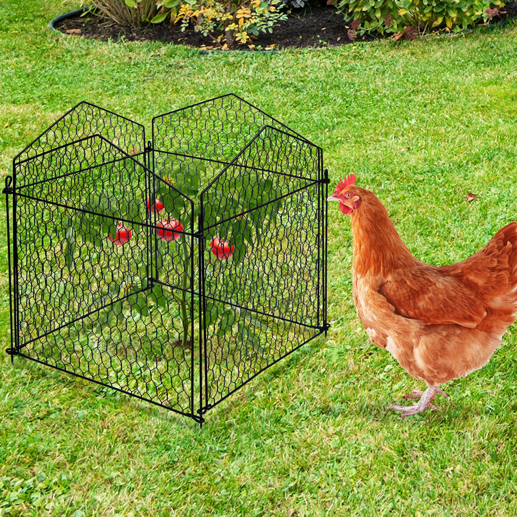 DECOHS four assembled cloches arranged highlighting coverage and tidy appearance