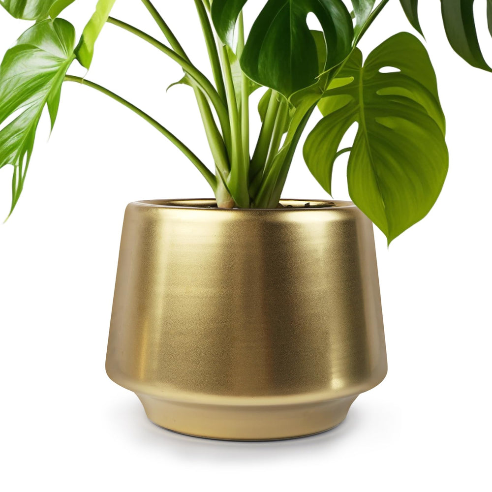 Decor Trends gold pot front view showing elegant matte brass finish and visual appeal
