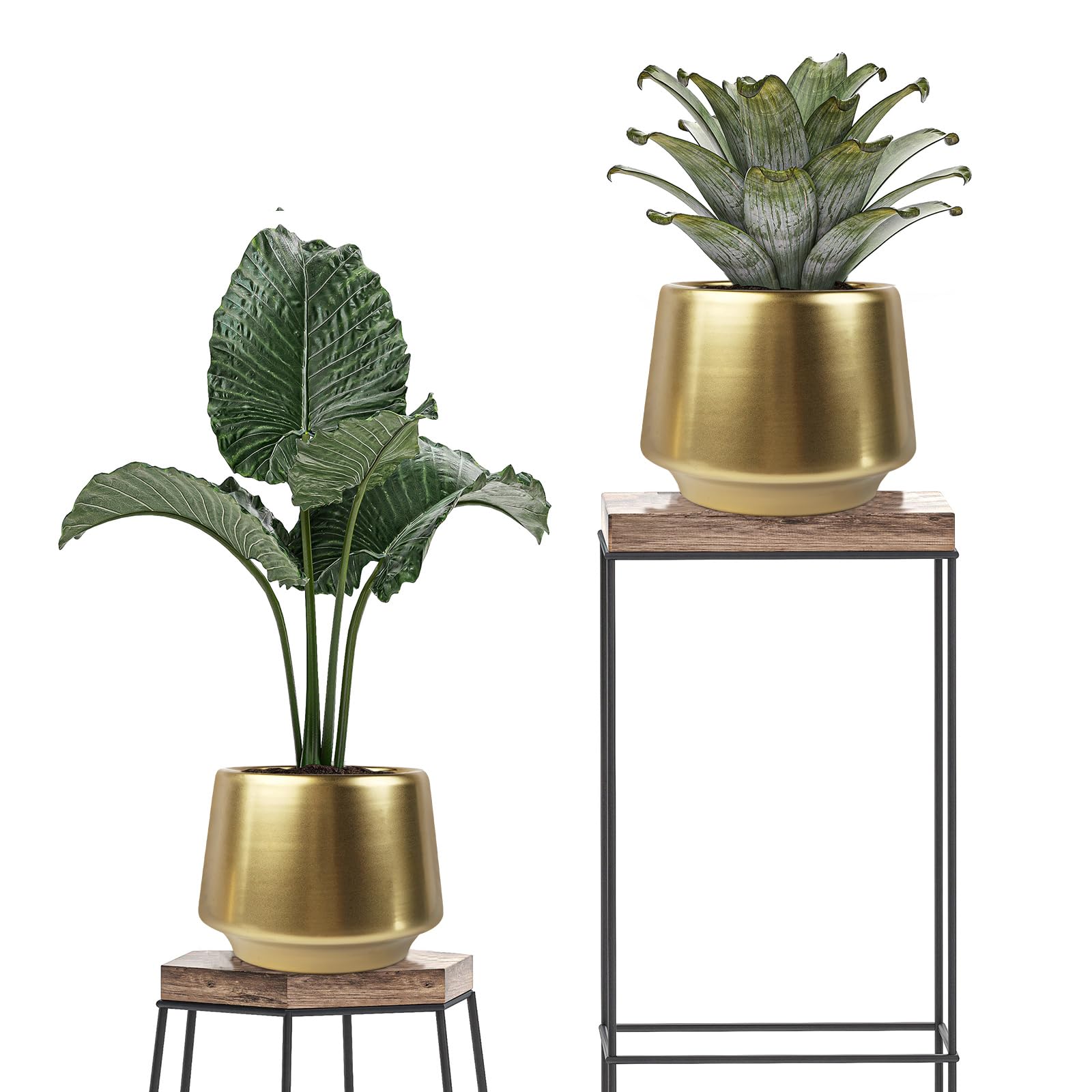 Decor Trends gold pot on wooden table demonstrating how it elevates room decor