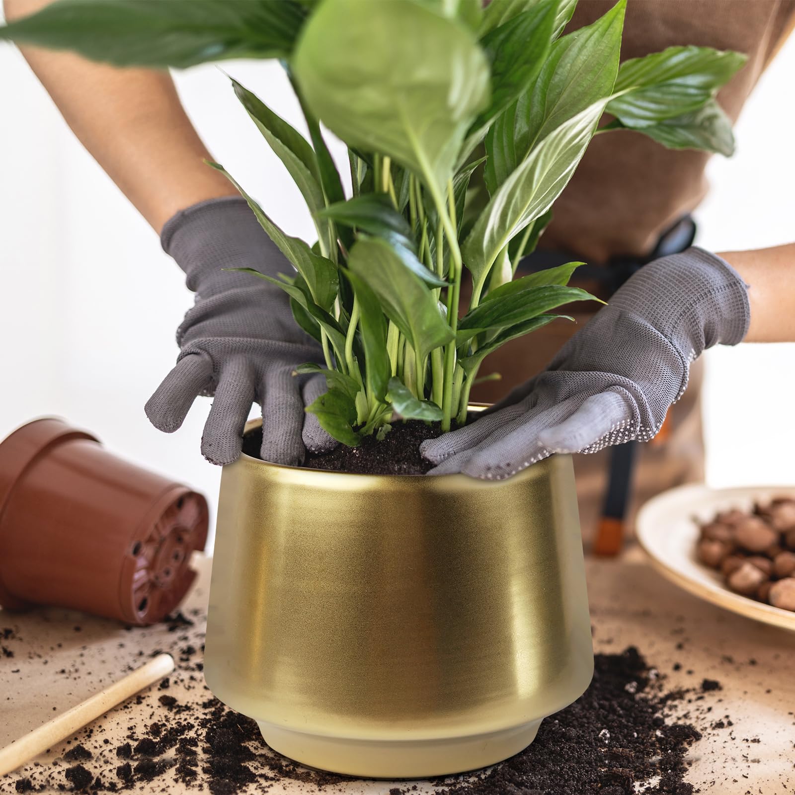 Decor Trends gold pot planted with succulents illustrating decorative indoor styling benefit
