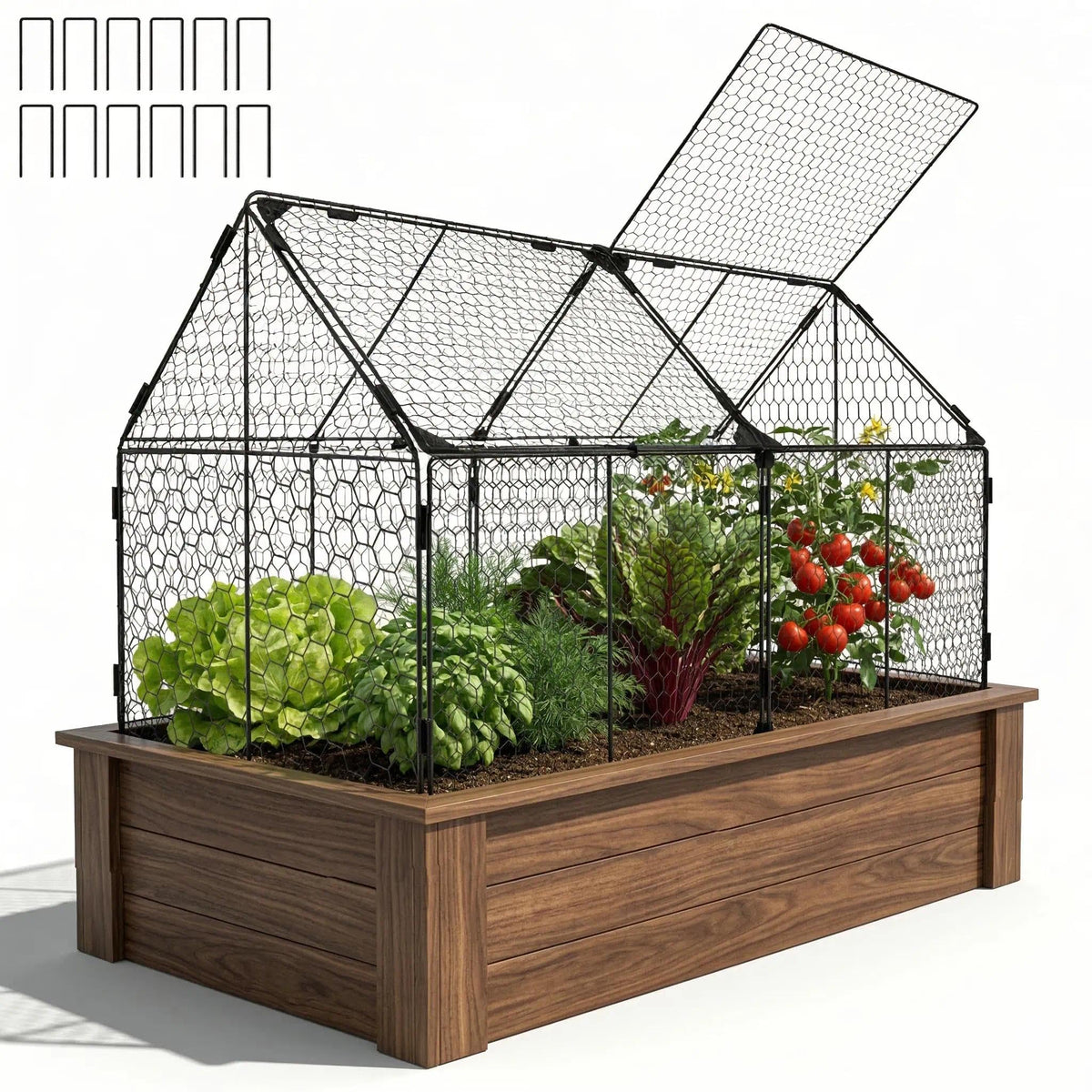 Decoroca assembled front view showing durable cage protecting bed