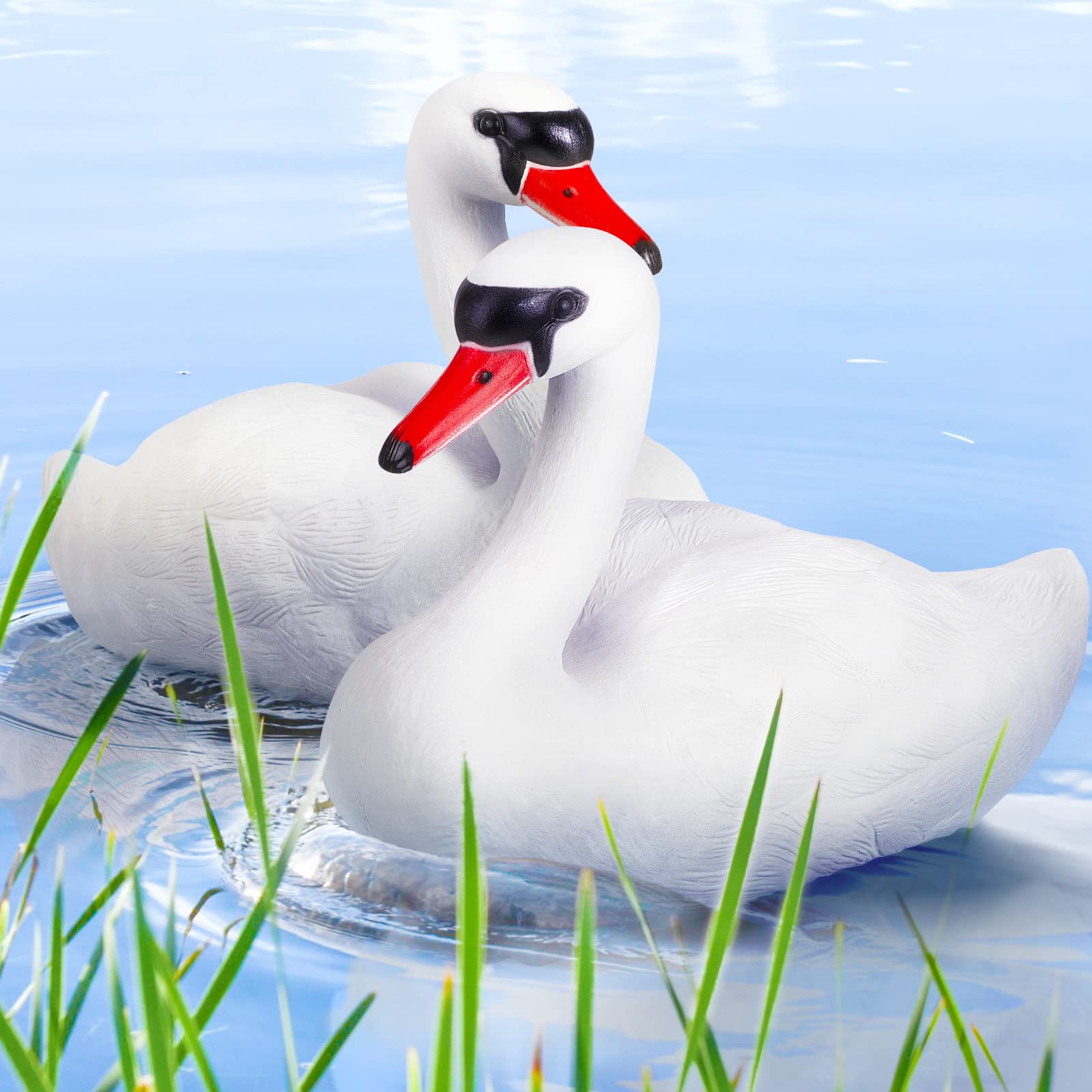 Deekin swan front view floating on water for realistic pond decoration