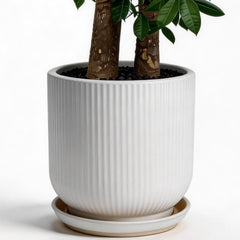 Deep Dream front view of white 12-inch pot showing modern stripes and stability