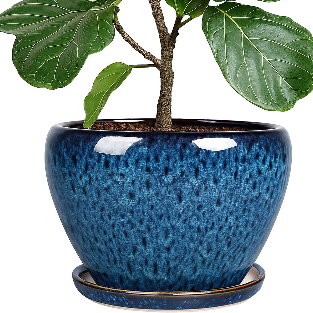 Deep Dream front view of peacock blue ceramic pot showing shape and finish for stylish display
