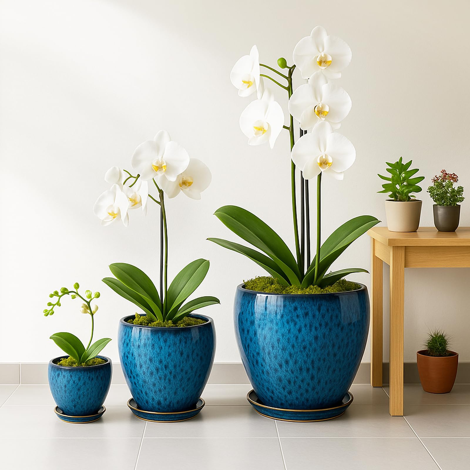 Deep Dream planter on wooden table in living room showing decor appeal and surface protection
