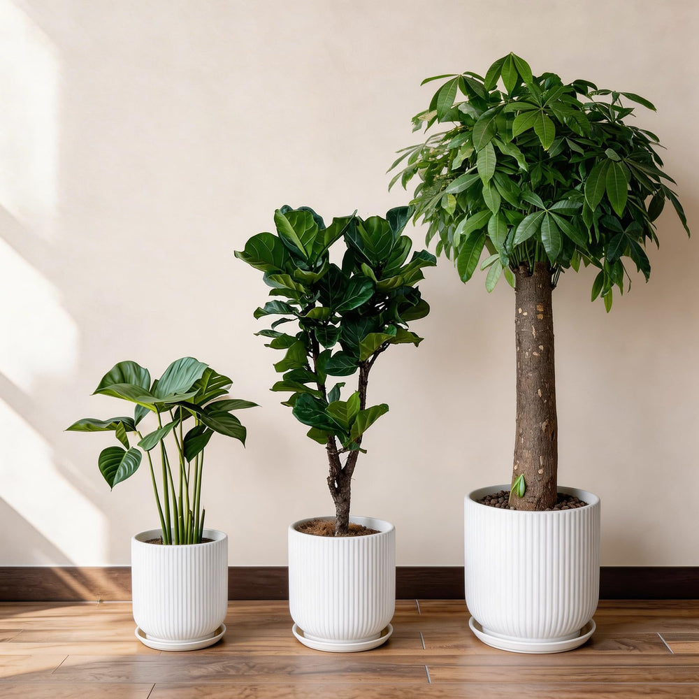 Deep Dream white planter staged in living room enhancing modern décor