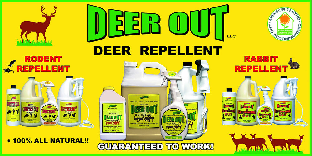 Deer Out being sprayed on garden shrubs demonstrating pet-safe, effective protection