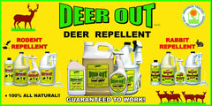 Deer Out being sprayed on garden shrubs demonstrating pet-safe, effective protection