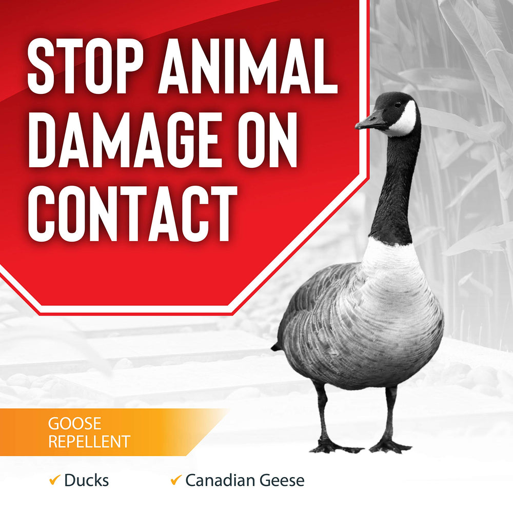 Deer Stopper Goose Stopper being sprayed on grass to protect yard