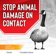 Deer Stopper Goose Stopper being sprayed on grass to protect yard