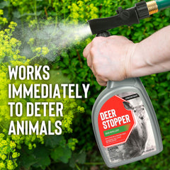 Deer Stopper applied from sprayer protecting garden beds effectively