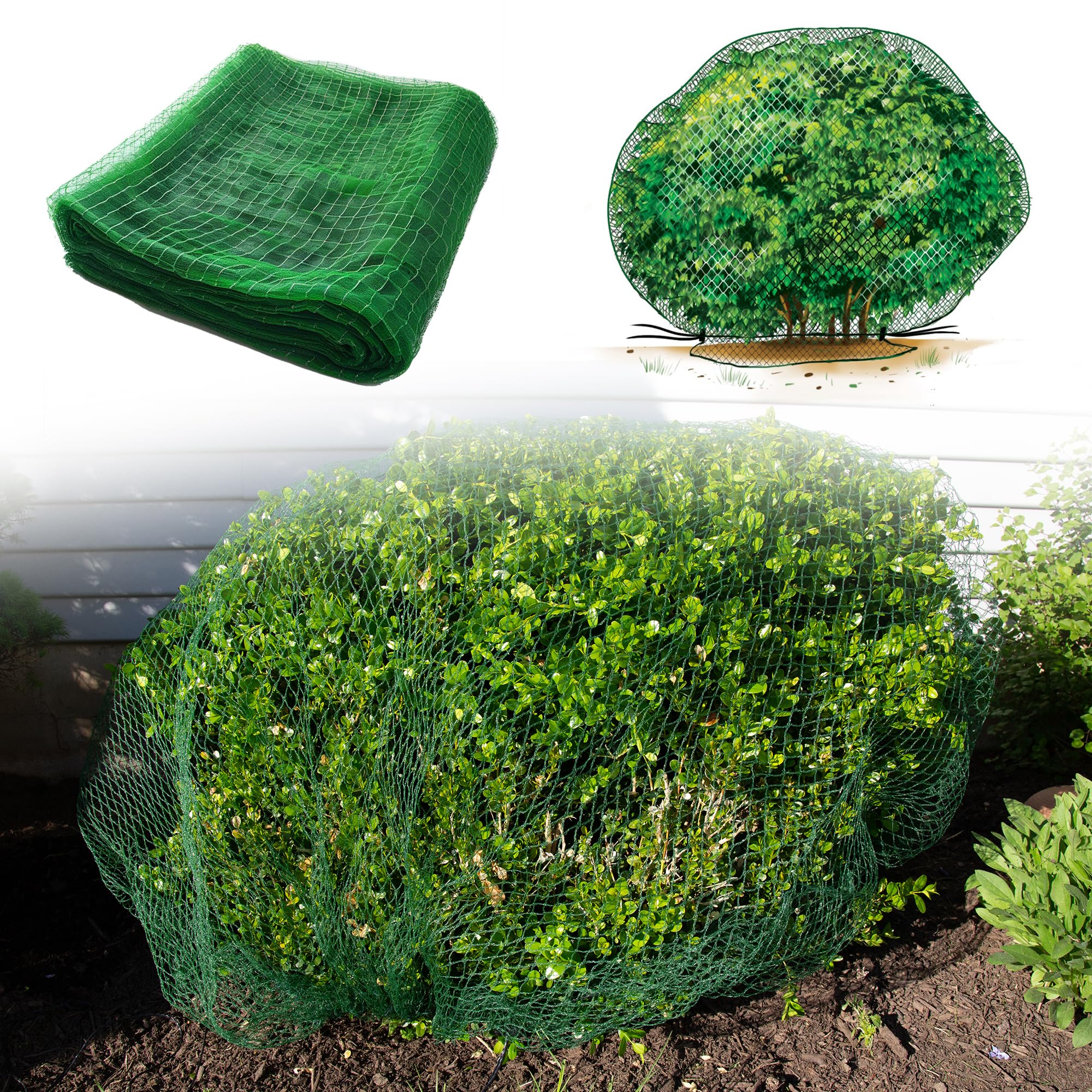 Deer-Terrent protecting a row of arborvitae for landscaper use