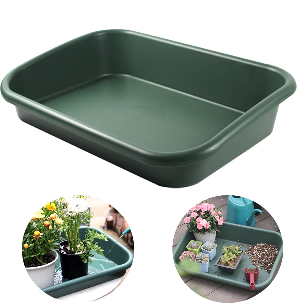 Defemim tray front view showing full footprint and clean containment benefit