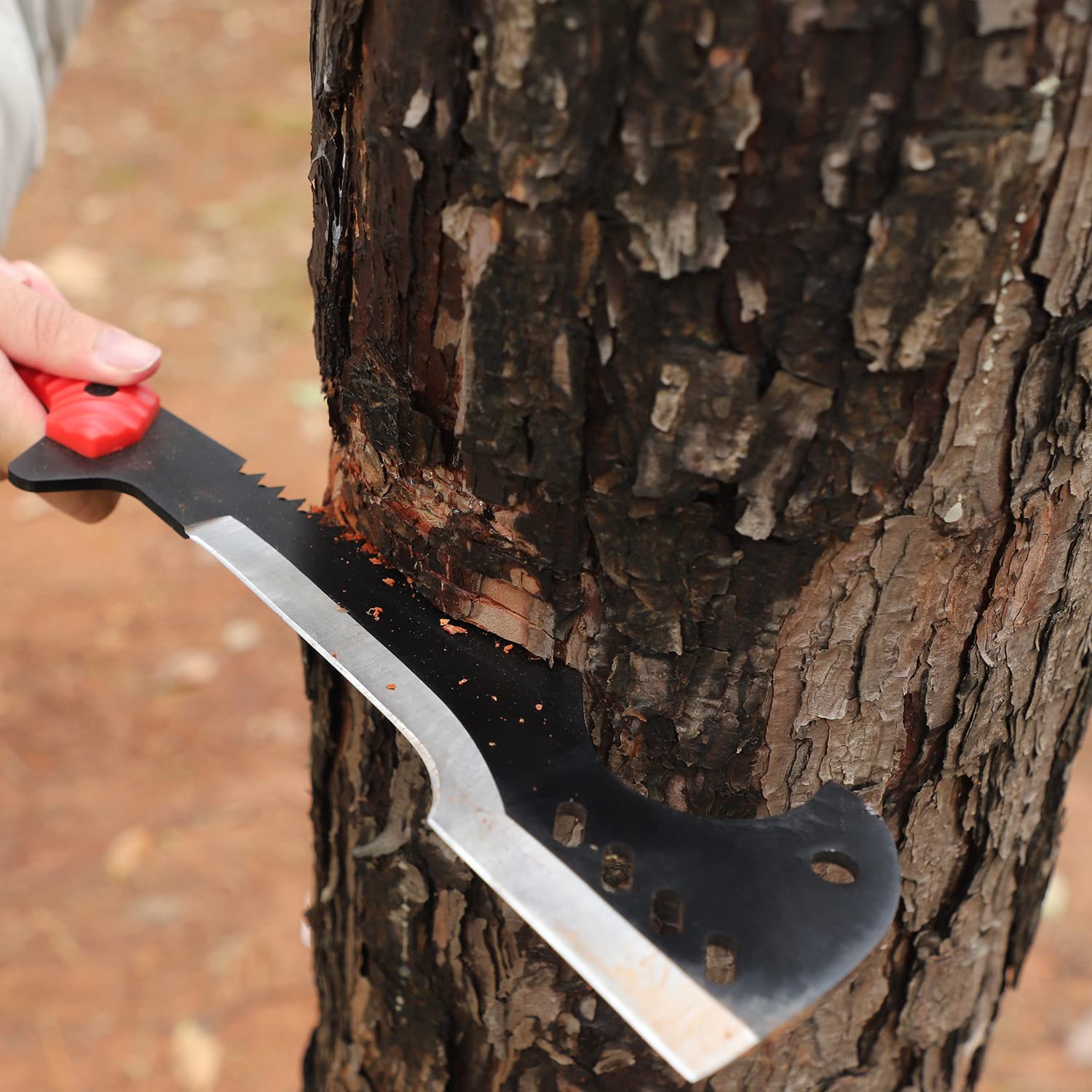 Delacour in use at campsite clearing brush and preparing firewood efficiently