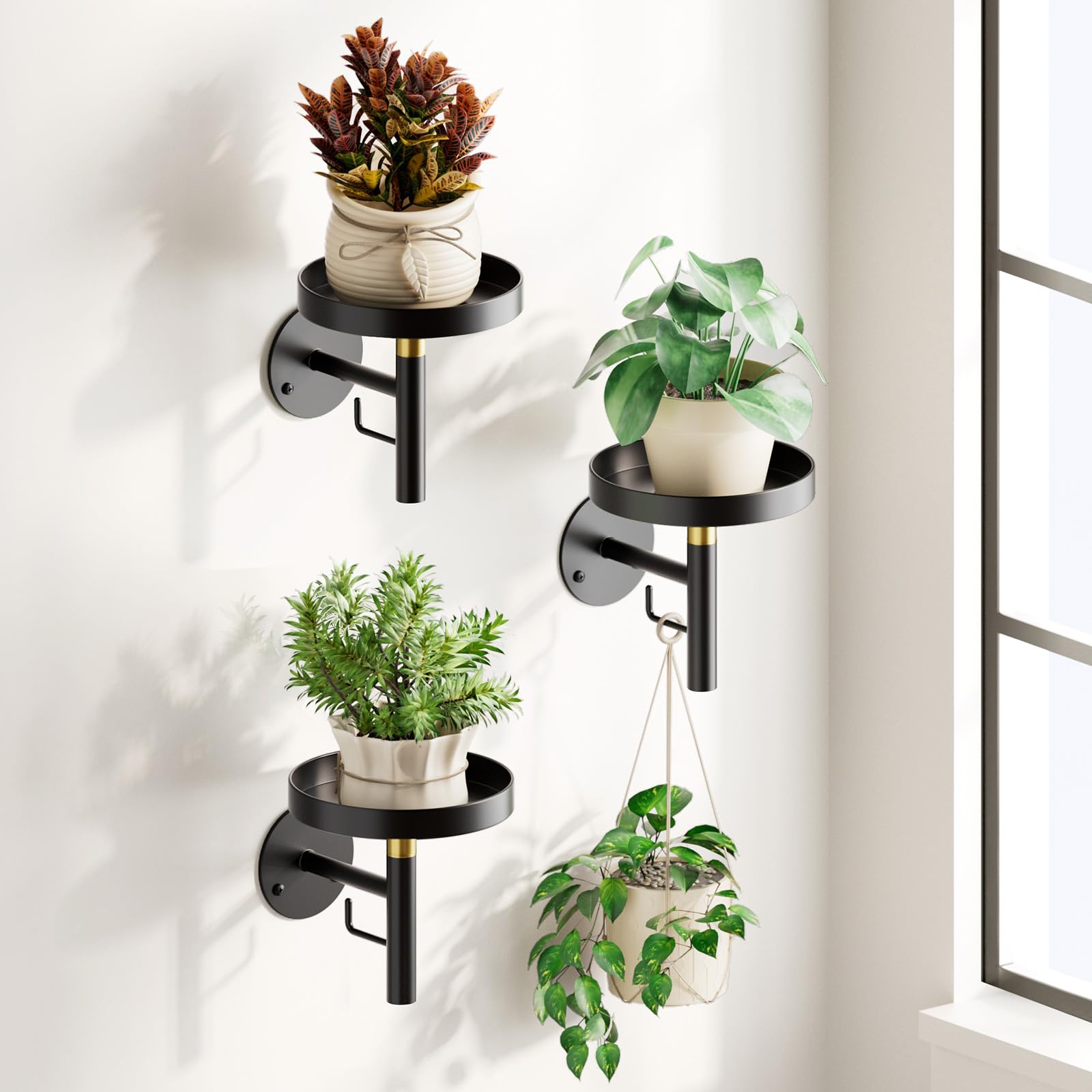 DELLAN front view of three-pack holder highlighting elegant design and space-saving benefit