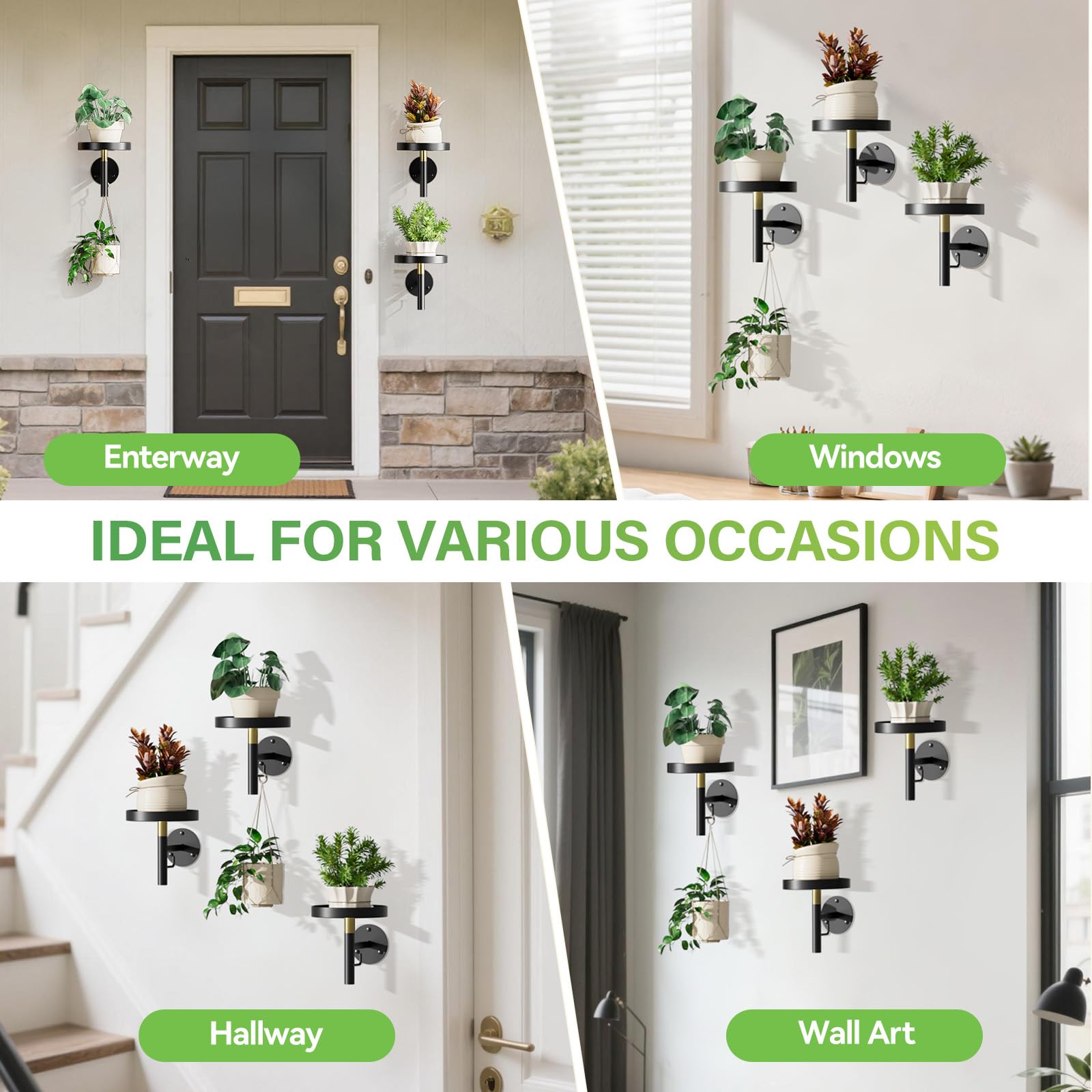 DELLAN three mounted holders staggered to display vertical garden organization benefit