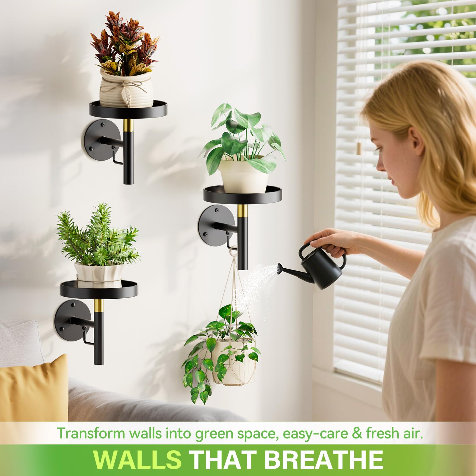 DELLAN holder by window with plants showing improved light access benefit