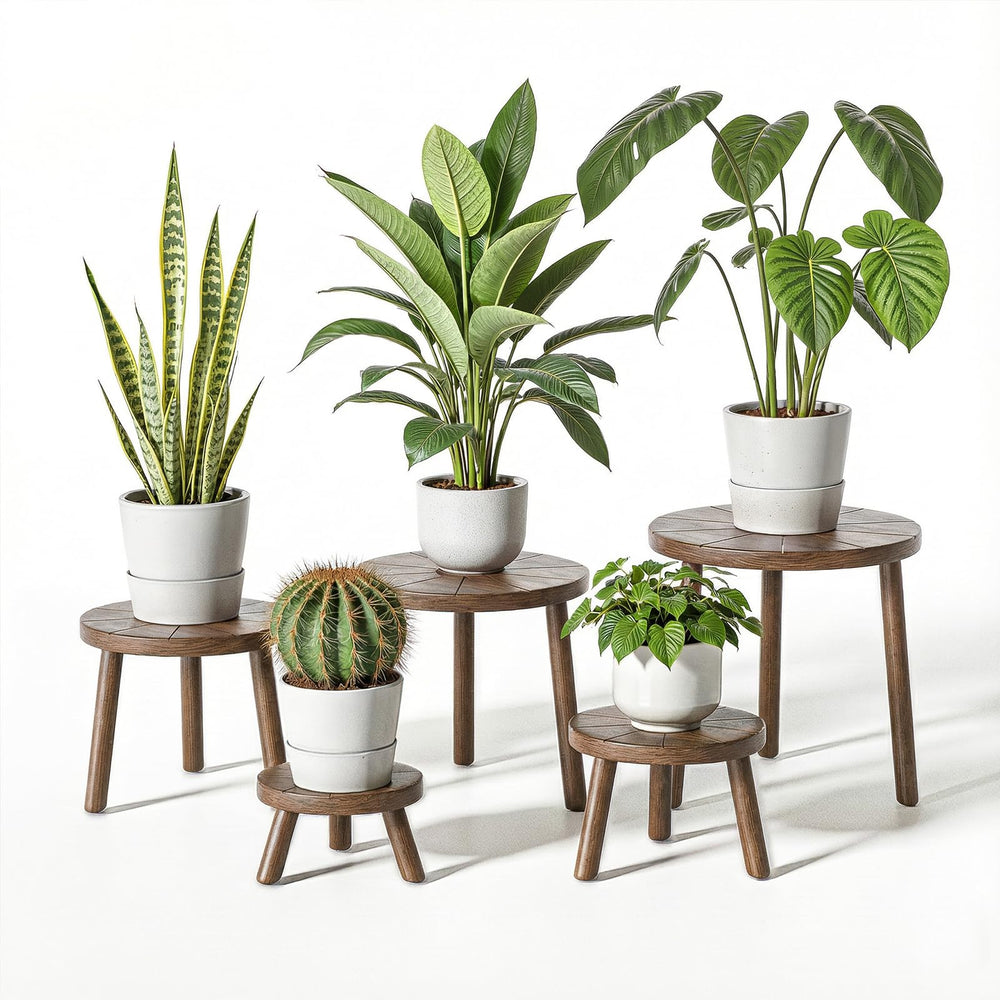 Delma front view of five dark brown plant stands showcasing cohesive styling and versatility