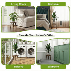 Delma plant stands in living room displaying plants to elevate interior decor