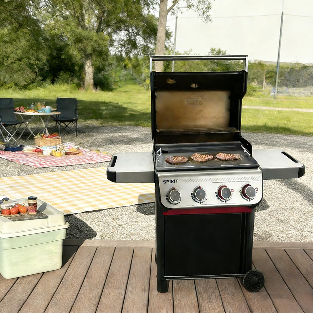 DELSbbq griddle stored flat, illustrating compact storage and protected surface