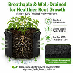 Delxo grow bag with tomato plant demonstrating healthier root support and yield