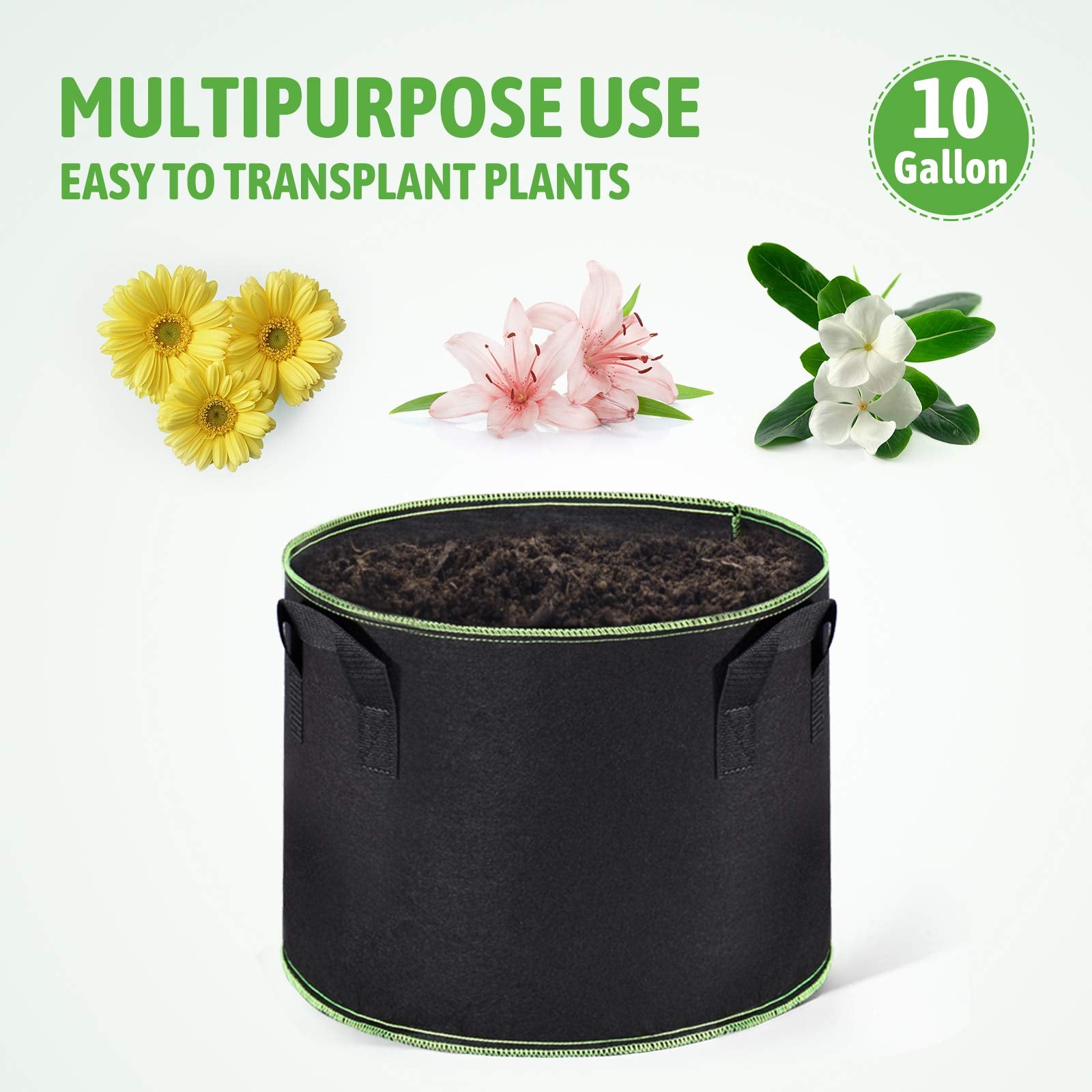 Delxo fabric bag cutaway showing healthy root development and improved aeration