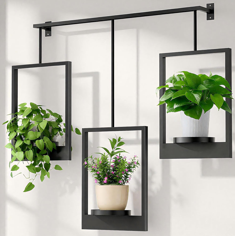 DEMEGA front view of wall planter showing clean modern display benefit