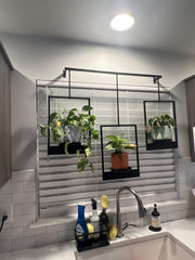 DEMEGA window display with small pots maximizing light benefit