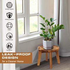 Demigo plant stand in use with potted fern keeps plant elevated and safe
