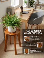 Demigo styled in living room near sofa demonstrating elevated plants for better light and decor benefit