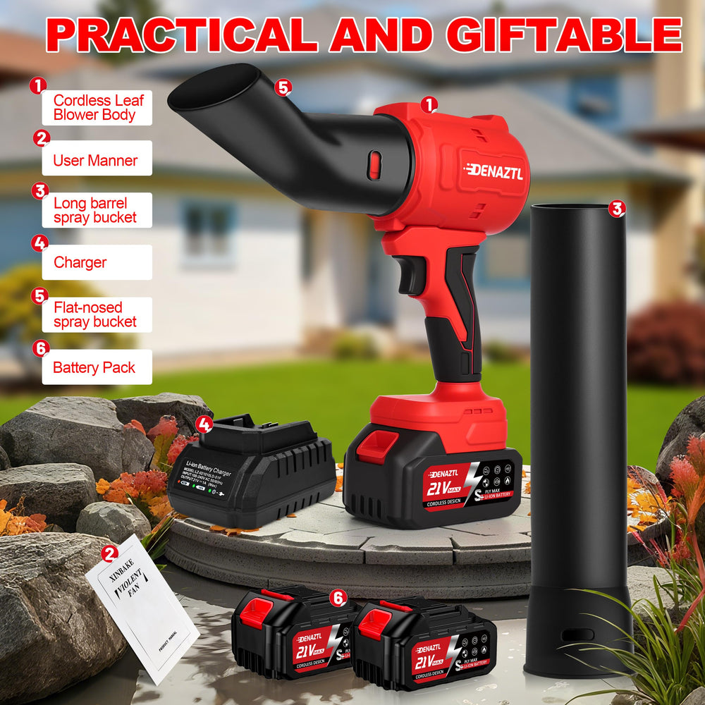 Denaztl packaged kit contents displayed for complete ready-to-use convenience