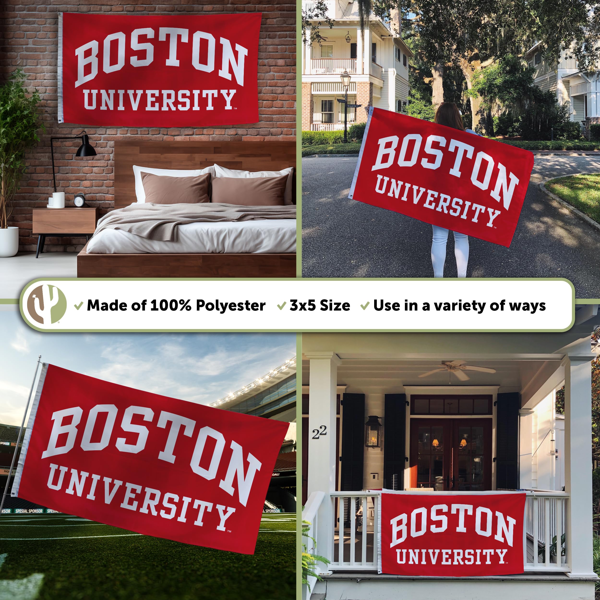 Desert Cactus displayed in dorm room showing compact size and decorative impact