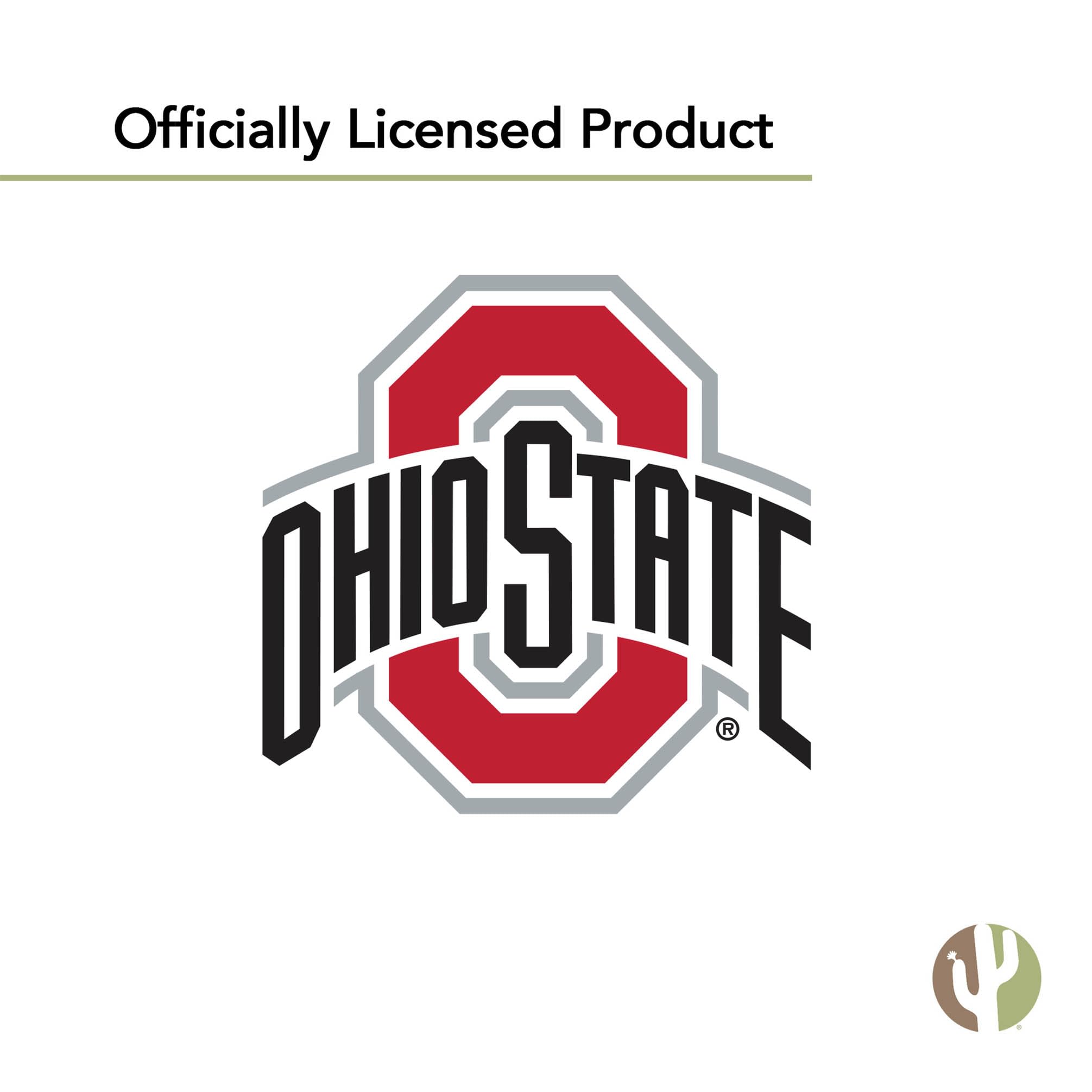 Desert Cactus OSU flag at tailgate setting boosting game-day atmosphere