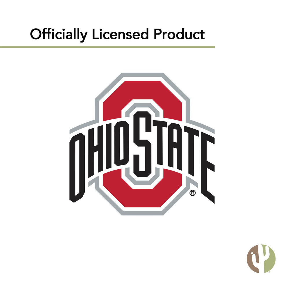 Desert Cactus OSU flag at tailgate setting boosting game-day atmosphere
