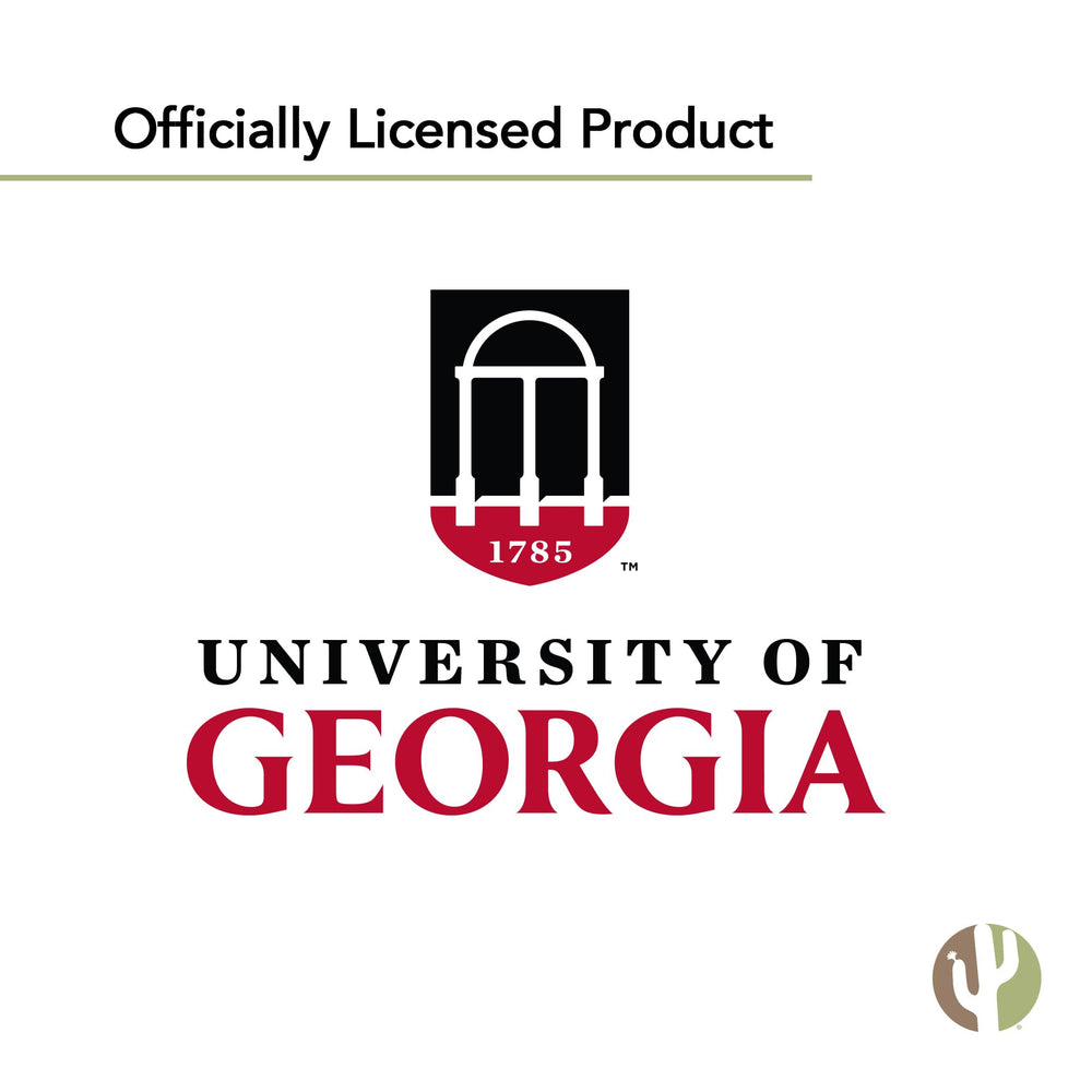 Desert Cactus UGA flag next to a chair showing true 3x5 ft scale and fit