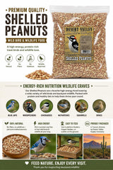 Desert Valley Supply close-up of shelled peanut kernels showing rich texture and nutrition