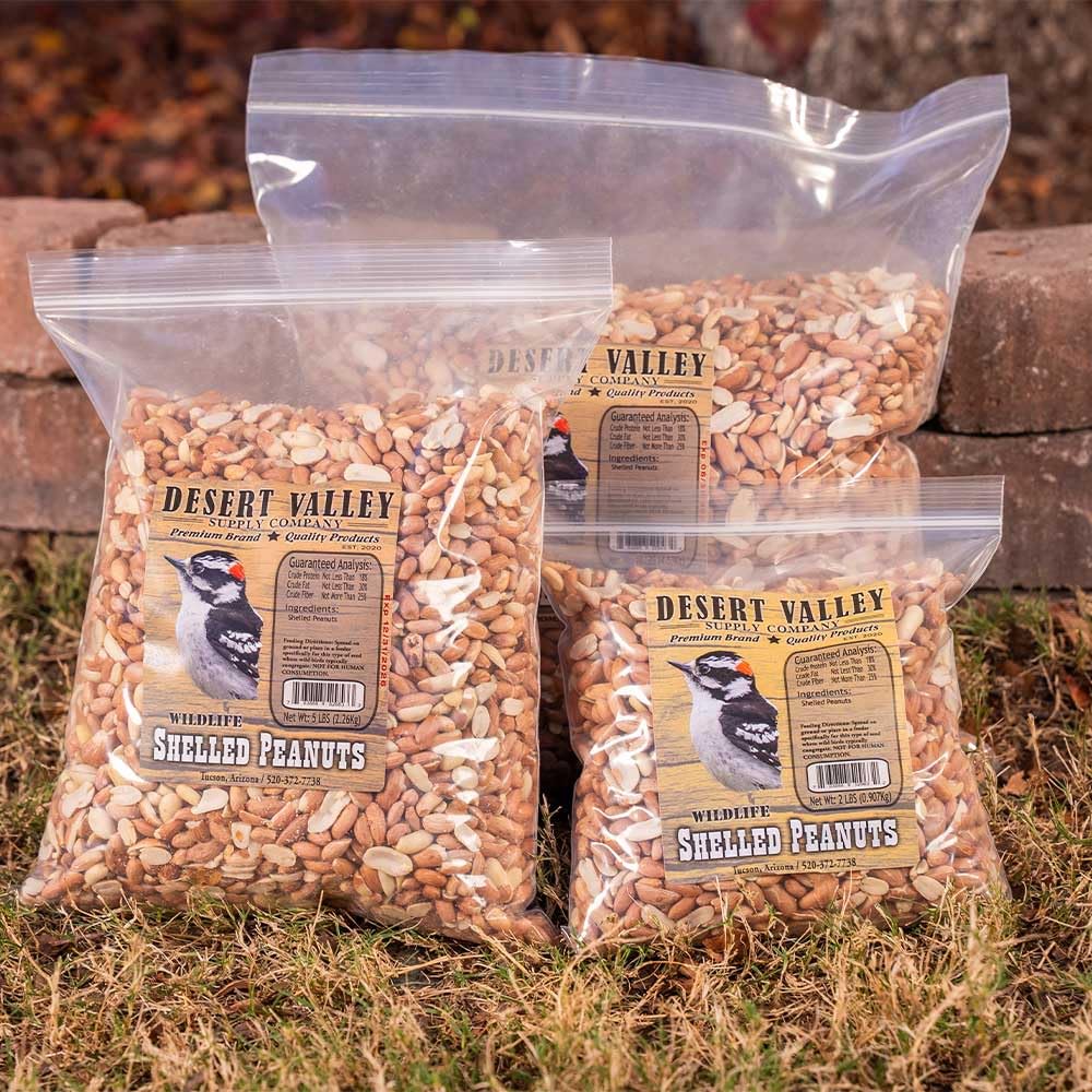 Desert Valley Supply peanuts in hand beside ruler showing 5 lb bag size and scale