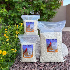 Desert Valley safflower seed filling a tube feeder attracting songbirds