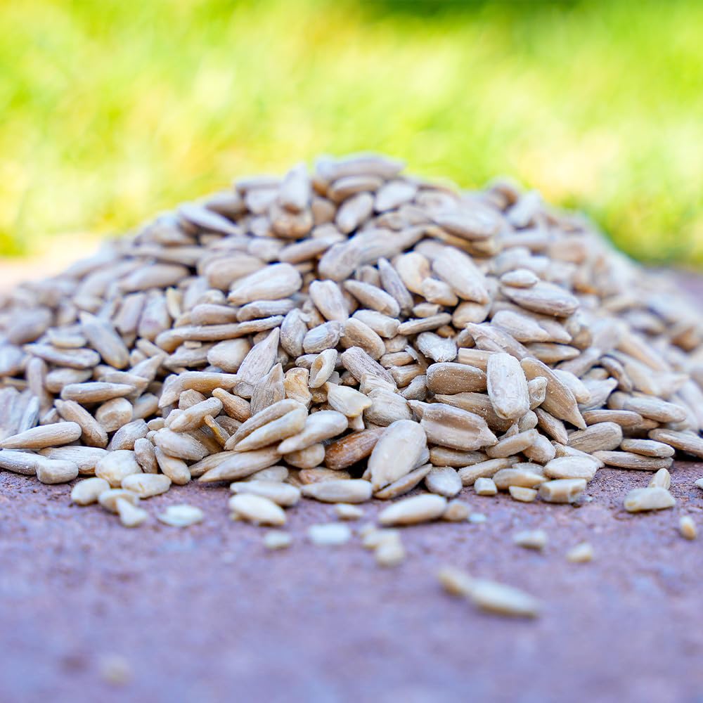 Desert Valley seed in tray feeder showing easy access for birds