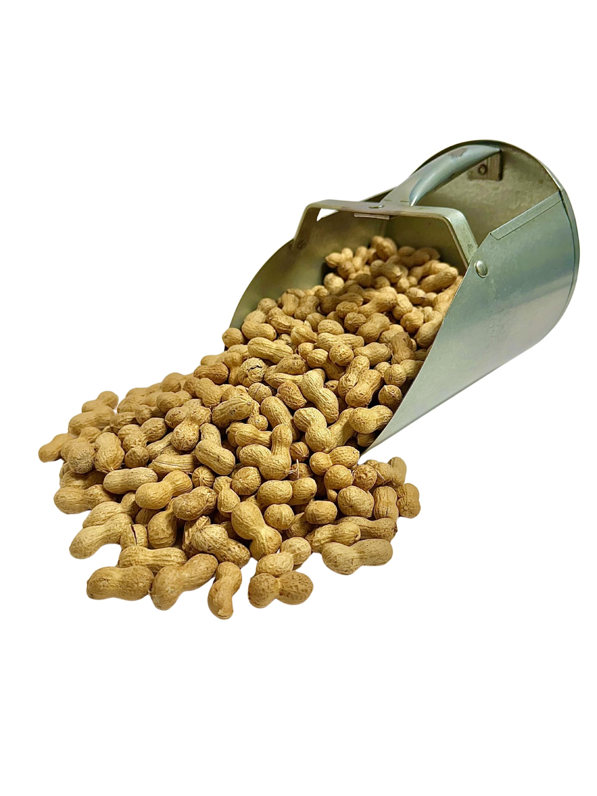 Desert Valley Supply peanuts in feeder attracting birds and squirrels for backyard viewing
