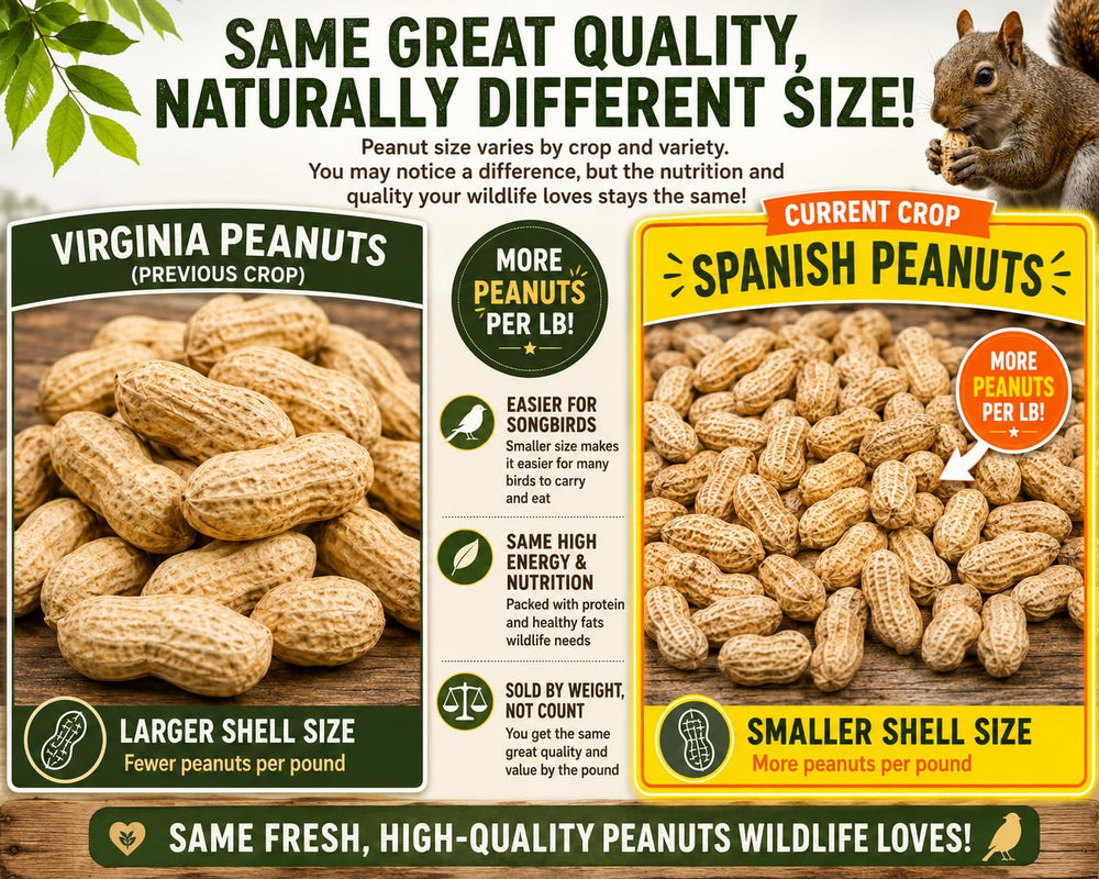 Desert Valley Supply close-up of peanut shells highlighting smaller-shell ease for wildlife