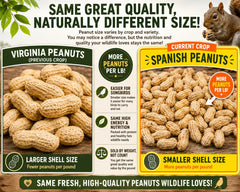 Desert Valley Supply close-up of peanut shells highlighting smaller-shell ease for wildlife
